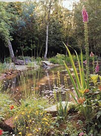 GreenArt pond design