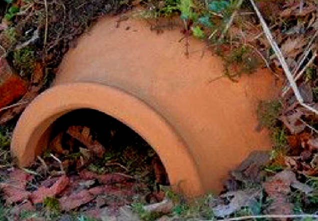 Hedgehog house