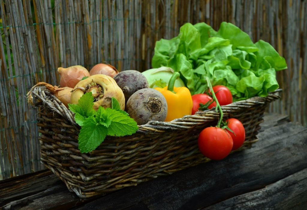 vegetable harvest basket