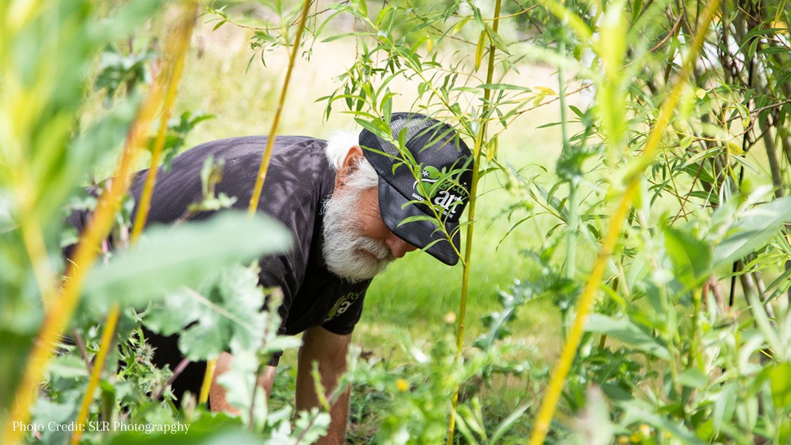 GreenArt Gardeners