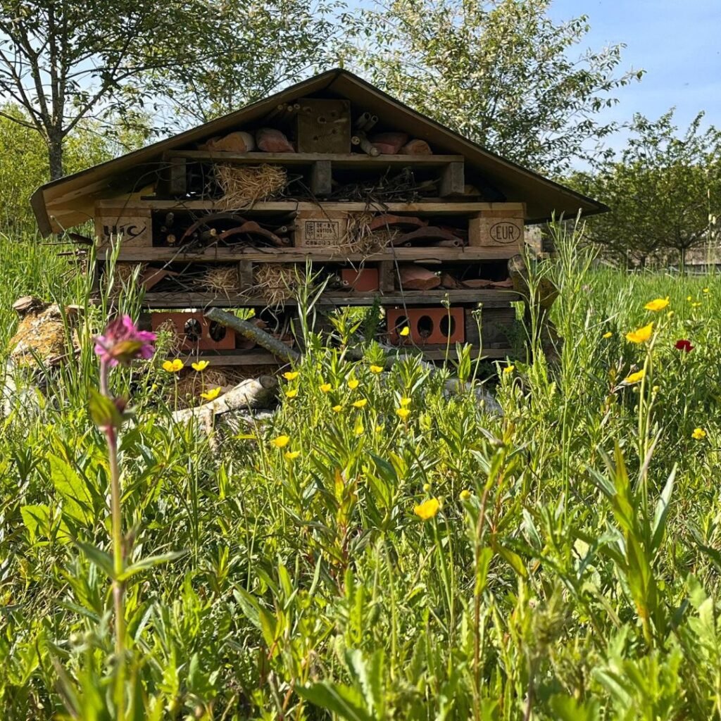 Image of a bug hotel built with old pallets and bricks, sticks and straw. 