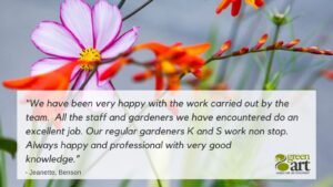 Care & Development Testimonial