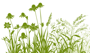 Green flowers as artwork