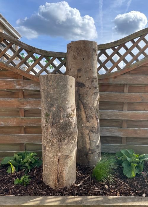 image of bee posts