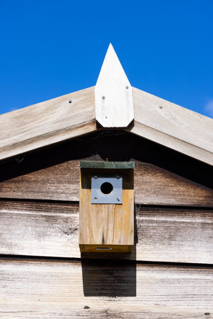 image of bird box