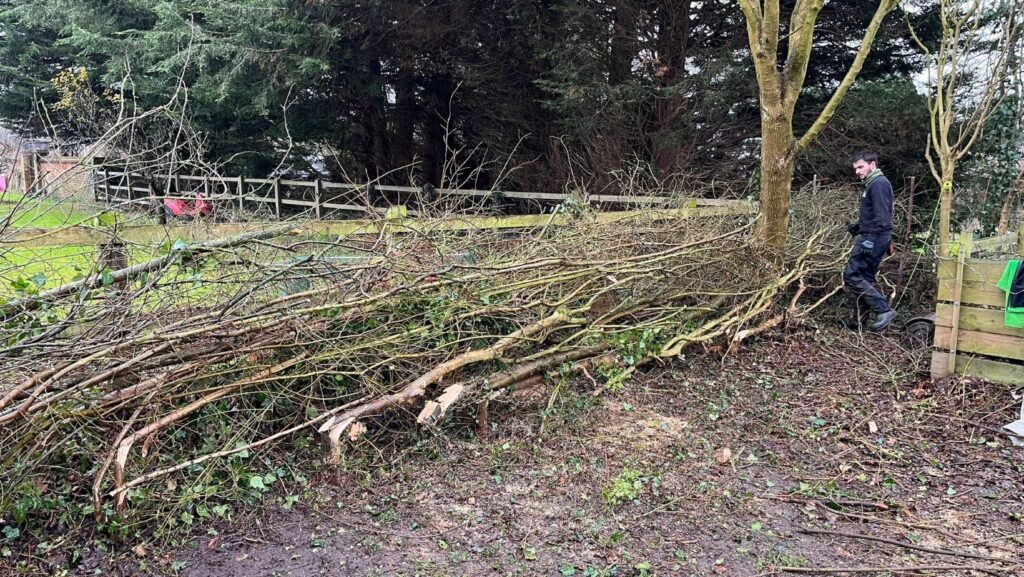GreenArt Hedge Laying
