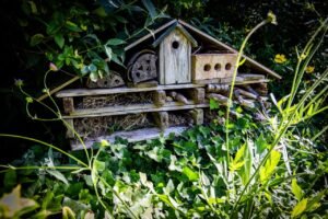 A bug hotel in the bushes.
