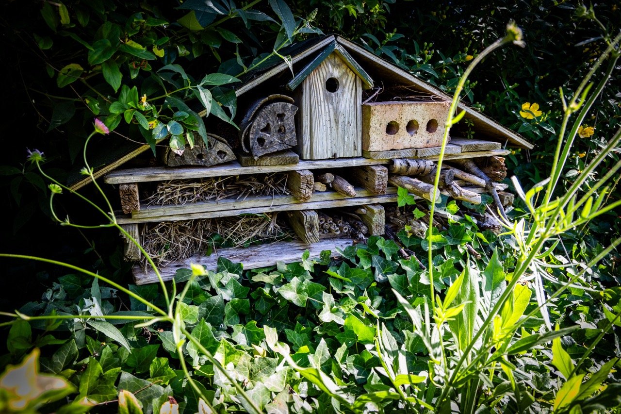 A bug hotel in the bushes.