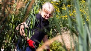 image of horticulturalist working among plants in a garden bed