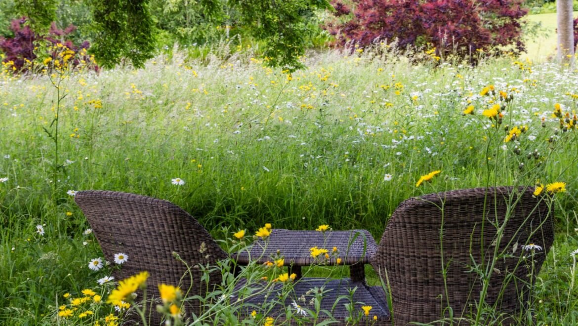 Image of 2 garden chairs sat within a field over overgrown grass.